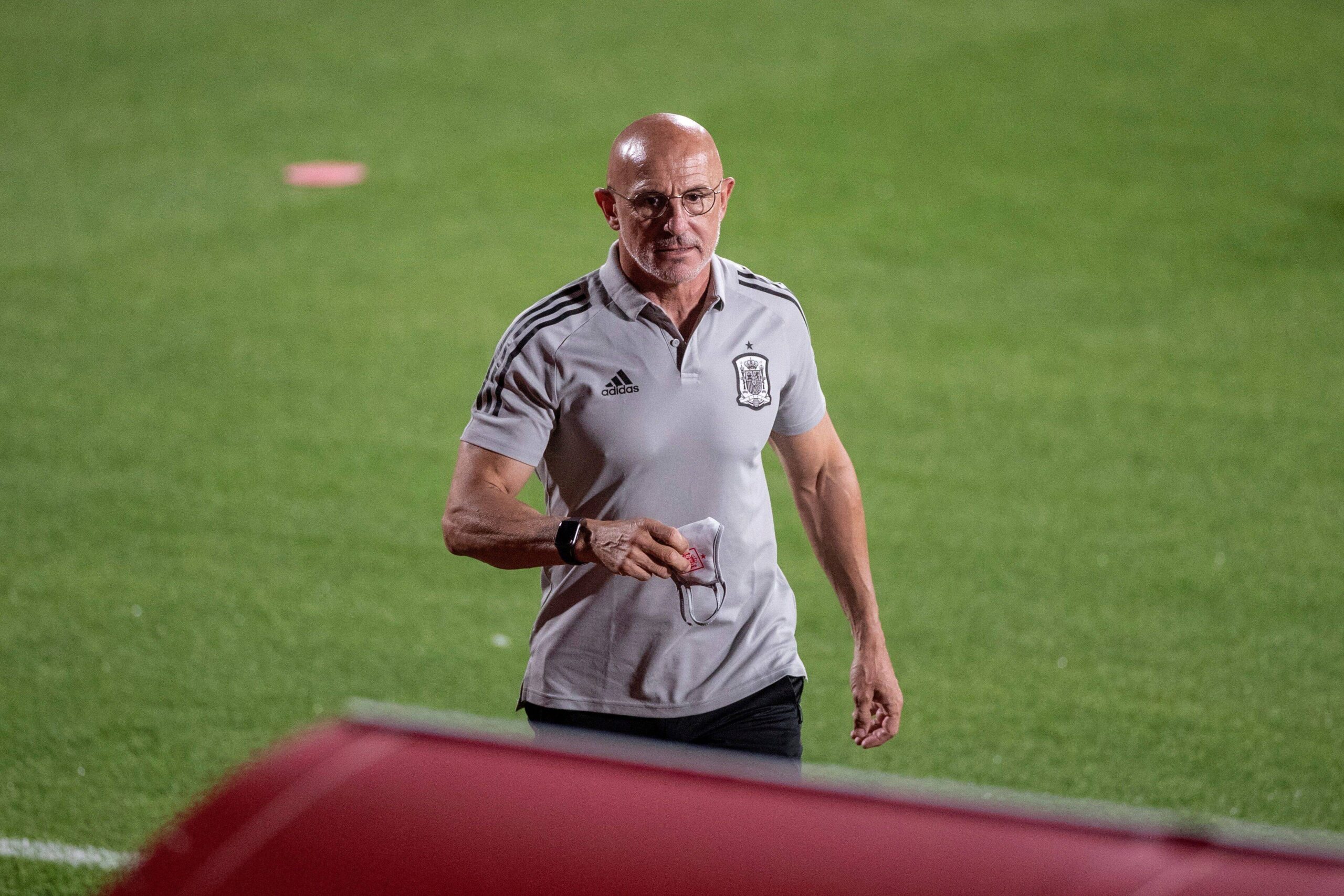 Luis De La Fuente