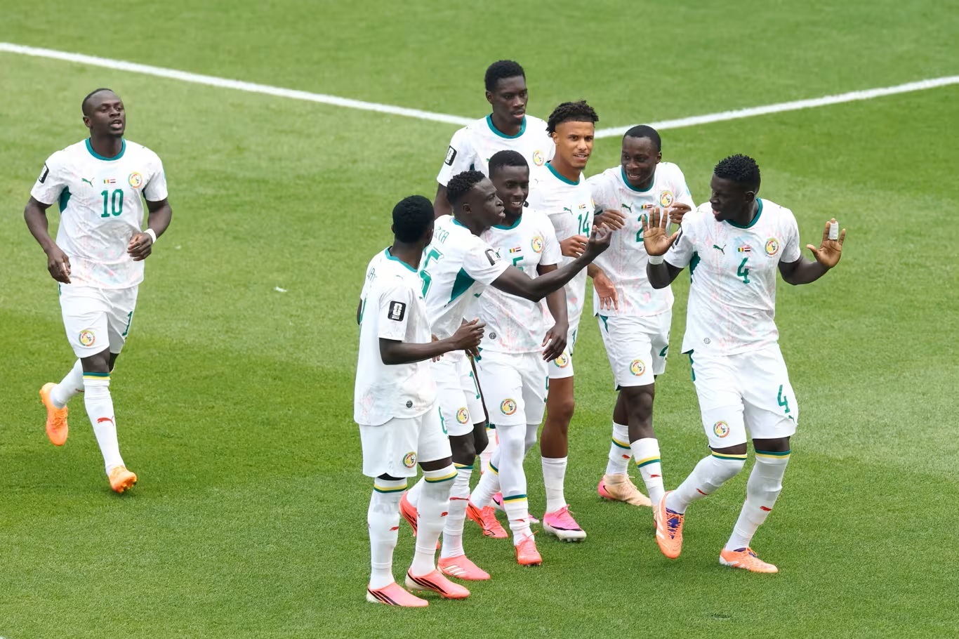 Senegal Gagal Lolos ke 16 Besar! Comeback Belgia Akhiri Perjuangan Singa Teranga yang sebelumnya tampil cukup impresif sejak fase grup. Senegal Gagal Lolos ke 16 Besar!